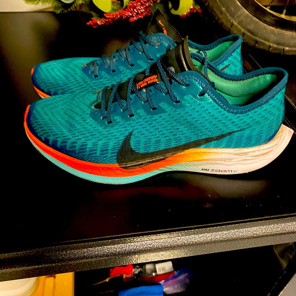 Nike Pegasus Turbo 2
